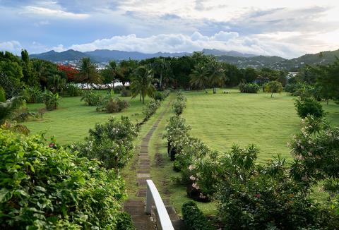 Lush tropical garden pathway with flowering plants and palm trees near residential hills