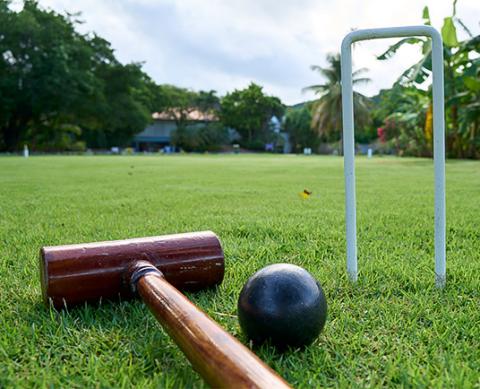 Croquet equipment on lawn with mallet, ball, wicket, in a park or garden setting