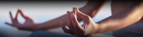 Meditative hand mudra, soft focus, serene yoga gesture