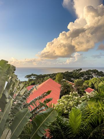 Scenic tropical coast with lush foliage, red-roofed buildings, and serene blue sea