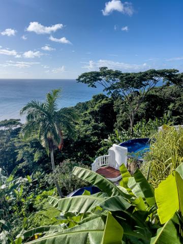 Luxury resort view with tropical foliage, pool, ocean backdrop, and seating area
