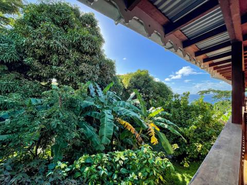 Tropical balcony view with banana trees, blue sea, and rustic roof