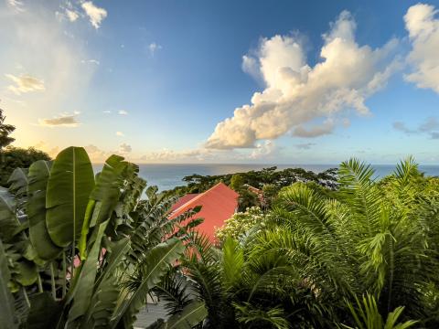 Lush tropical landscape with banana plants, red-roofed building, and distant sea view