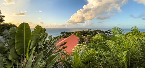 Serene tropical landscape with lush greenery, red-roofed building, and sea view