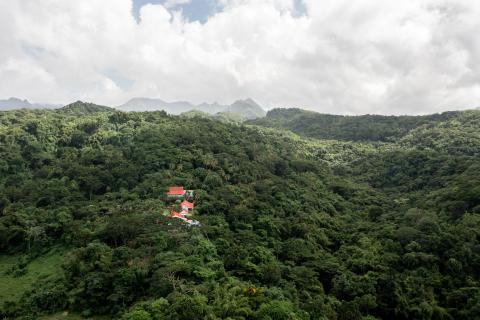 Red-roofed temple in lush forest with mountains under partly cloudy skies
