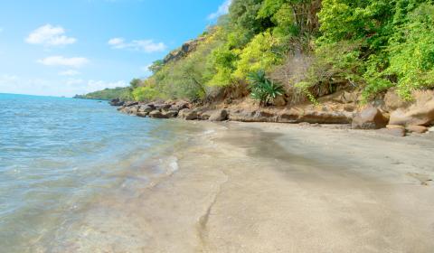 Secluded beach with clear waters, sandy shore, and lush green hill