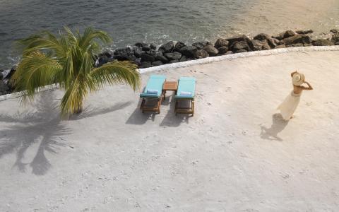 Relaxing beach scene with lounge chairs, palm tree, and person in white dress.