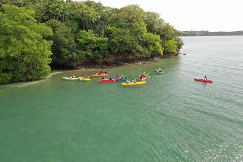 Group of colorful kayaks on clear water near lush green shore, aerial view.