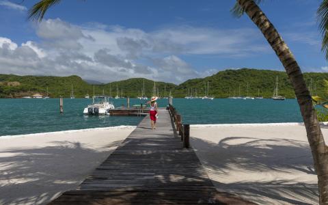 Woman in red skirt walks on pier in tropical bay with boats and palm tree.