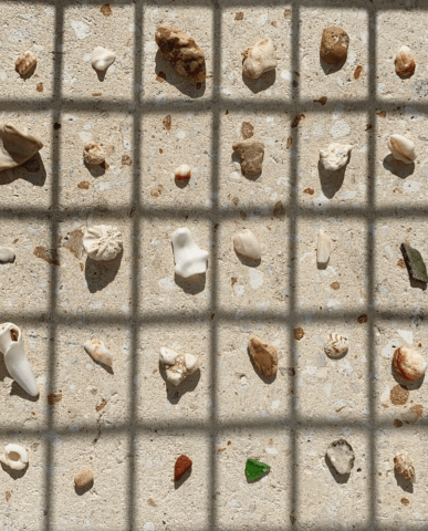 The image shows an array of various shells and rocks neatly placed in a grid formation on a sandy surface