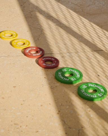The image shows a line of colorful weightlifting plates from the brand Rogue arranged on the ground
