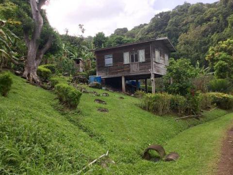 Rustic wooden house on a green hillside with trees and old tires