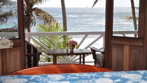 Coastal view from wooden deck with bench and pink flowers overlooking a blue ocean