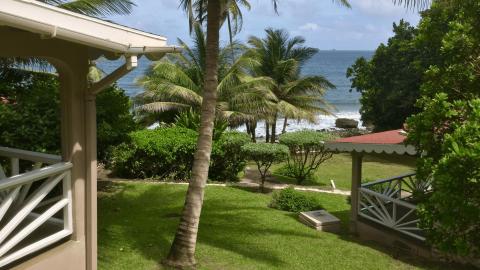 Tropical beachfront with lush greenery, palm trees, and resort architecture by the sea.