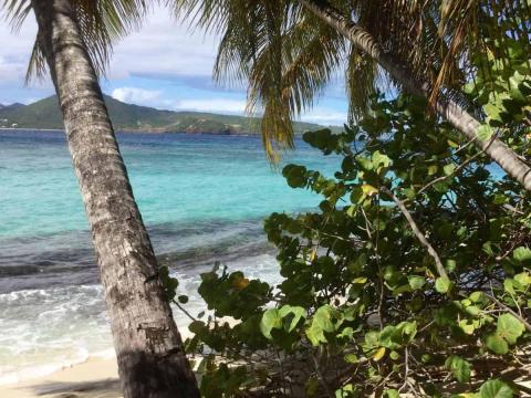 Tropical beach with palm trees, turquoise sea, and distant hill under partly cloudy sky