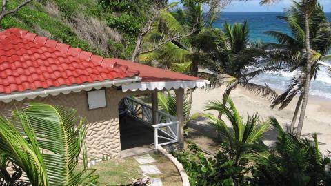 Beachside building with red roof and porch near palm trees and ocean waves on sunny day