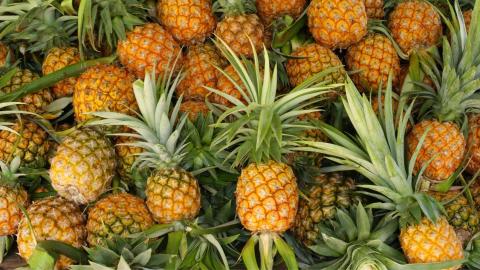Large pile of pineapples with rough skins and green leaves closely packed