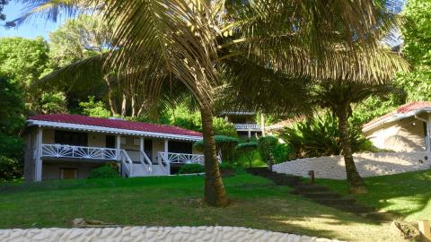 Tropical landscape with red-roofed buildings among palm trees, exuding serenity.
