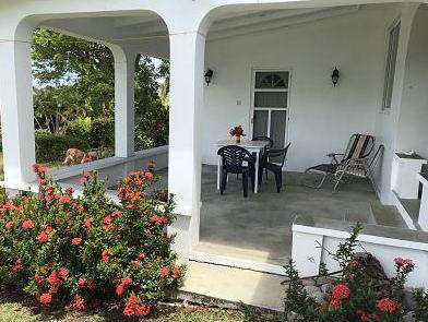 White house with patio, sun chair, blue table, dog, surrounded by flowers