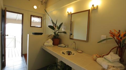 Tropical-themed bathroom interior with decorative sink and plant