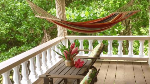 Relaxing porch with colorful hammock and tropical flowers amid lush foliage