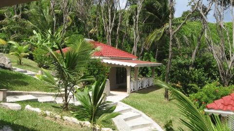 Small house with red roof surrounded by tropical plants and palm trees