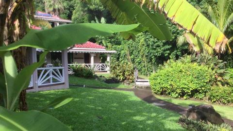 White gazebo with red roof in lush tropical garden, serene park setting