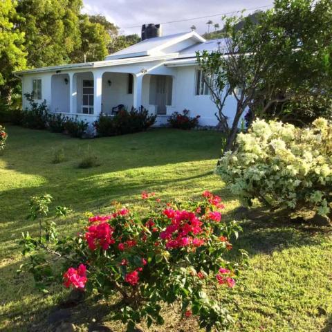 White single-story house with a dark roof and colorful garden on a sunny day