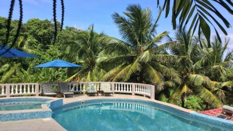 Tropical resort pool with blue tiles, lounge chairs, umbrellas, and palm trees under sunny sky