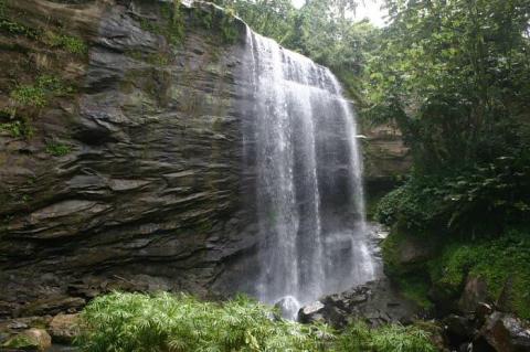 Scenic waterfall with lush greenery and smooth rocks, serene and untouched.