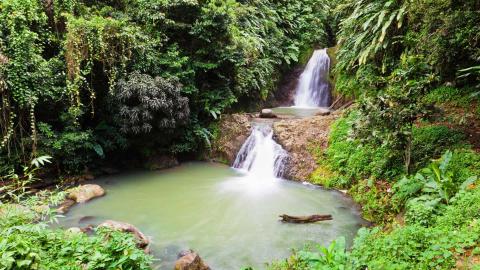 Tropical rainforest with dual waterfalls cascading into serene pool surrounded by lush foliage