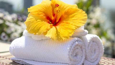 White towels and yellow hibiscus in a serene spa setting with greenery.