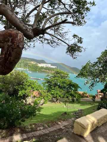 Scenic bay view with boats, rainbow over marina, lush greenery and stone ledge.