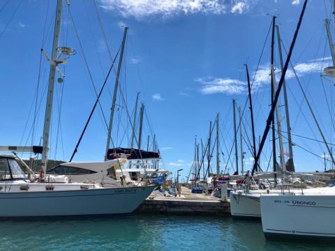 Sailboats docked in a serene marina under a clear sky, ideal for sailing