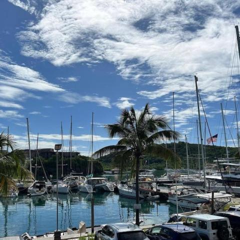 Vibrant marina with boats, lush hills, and a palm tree under a blue sky in the USA."```