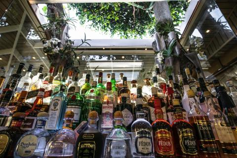 Variety of alcohol bottles on shelf with plants under natural light