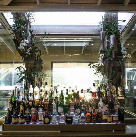 Well-stocked bar with array of drinks, orchids on a lit tree trunk by a bright window.