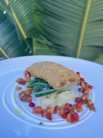 Fried fish filet with mashed potatoes and vegetables on tropical-themed plate