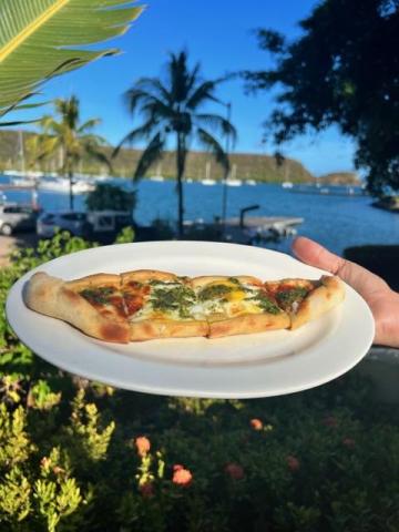 Hand holding a personal pizza with cheese and greens, marina background