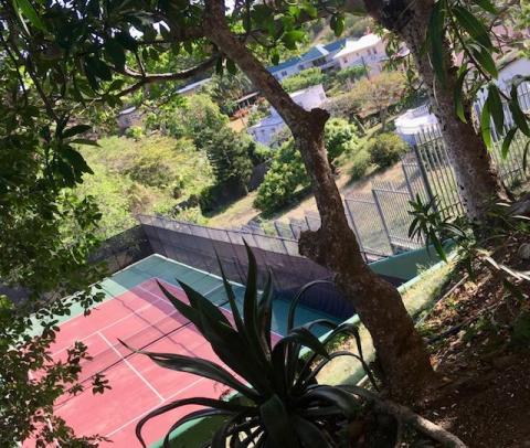 Aerial view of a secluded tennis court in a lush green neighborhood