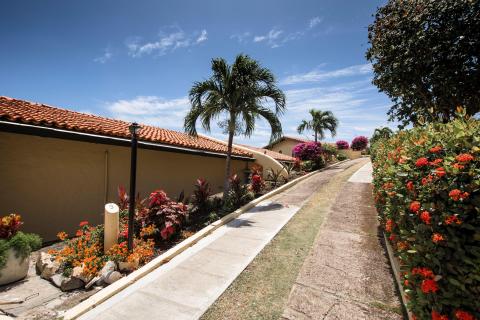 Tropical pathway with colorful flowers and palm trees beside a yellow building
