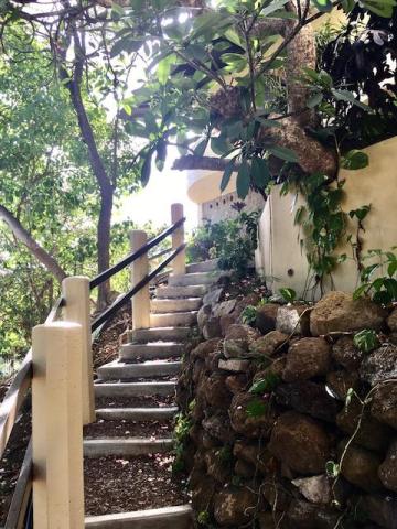 Stone staircase with metal handrail in lush garden with pink flowers