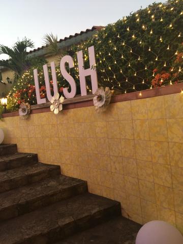Lush green hedge and yellow tiled wall with decorative white lights and flowers