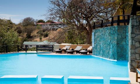 Serene outdoor pool with lounge chairs and leafless trees under clear blue sky