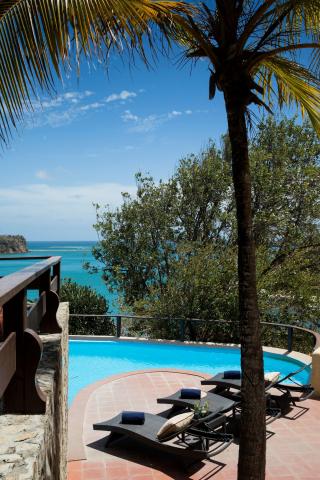 Luxury pool with sea view, lounge chairs, and palm tree, ideal for relaxation.