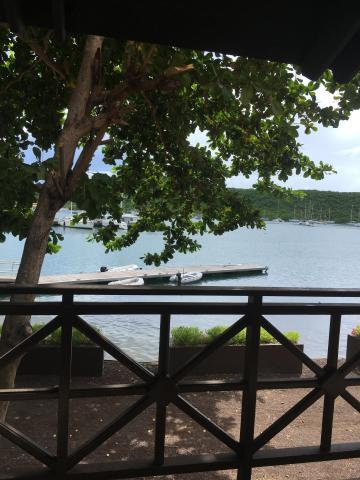 Serene bay view with boats, dock, and lush green hills from a shaded overlook