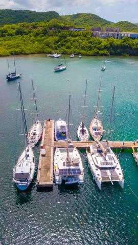 Aerial view of dock with sailboats and under-construction building in a lush setting