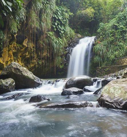 Serene tropical waterfall with lush greenery and rocky pool, long exposure effect