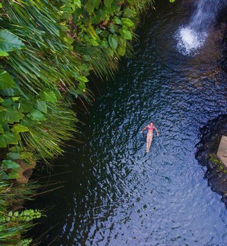 Person floating in tranquil pond with waterfall surrounded by lush greenery, top view.
