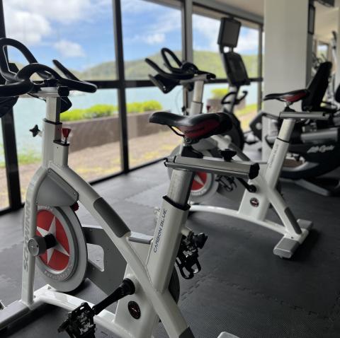 Schwinn Carbon Blue exercise bikes in a scenic indoor cycling room